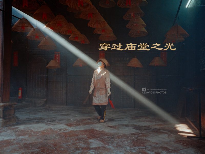 穿过庙堂之光